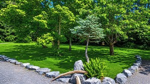 Un jardín bien cuidado con un sendero de grava, césped impecable y diversas especies de árboles.