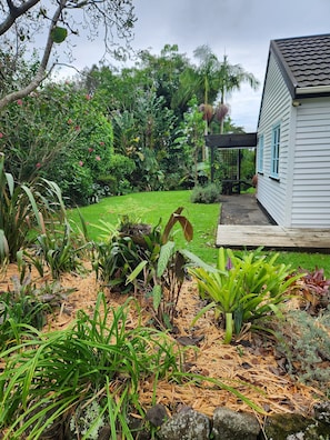 A garden with various plants and a house with blue windows.