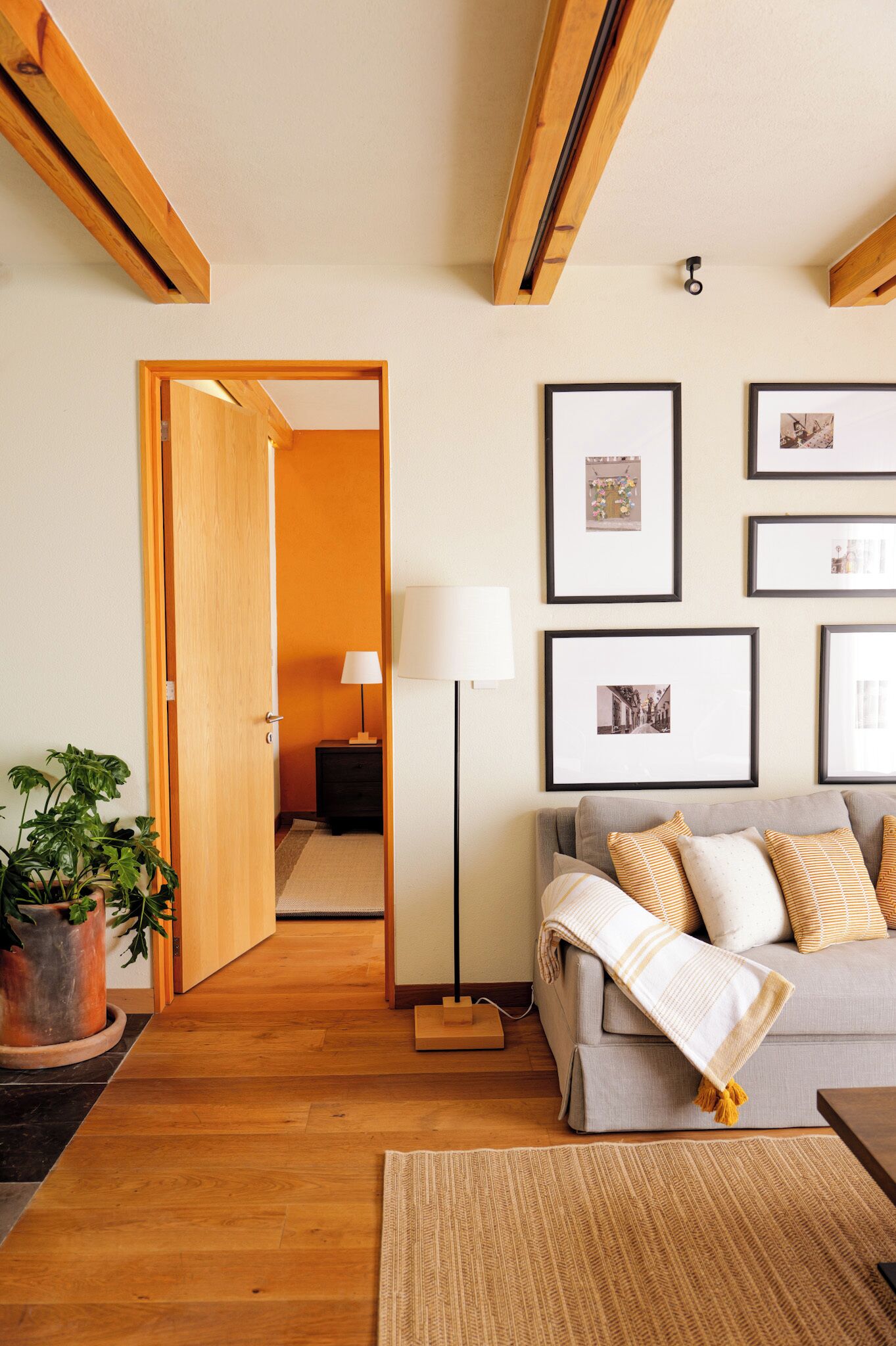 Deluxe Apartment, City View