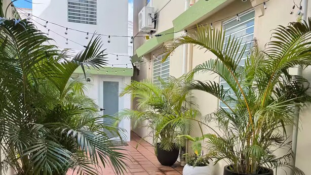 Un étroit sentier dallé, bordé de plantes en pot et de bâtiments.