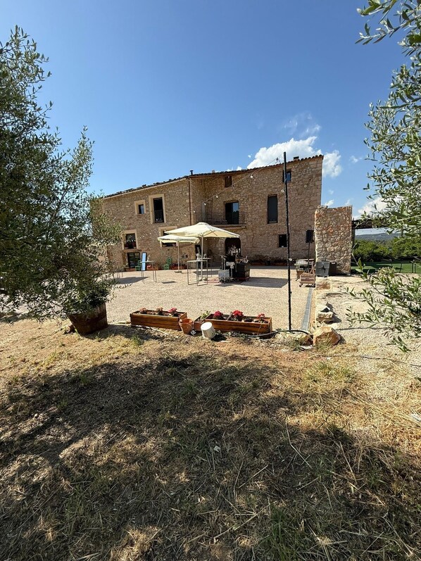 Unclassified image, 1 of 30, button