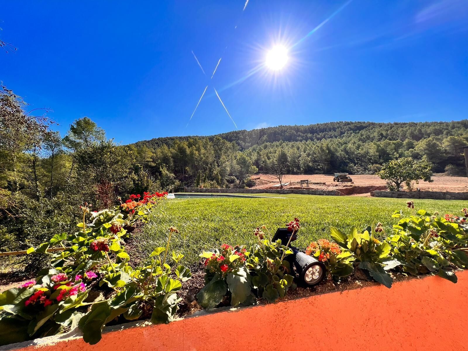 Un jardín con diversas flores y un cielo azul despejado.