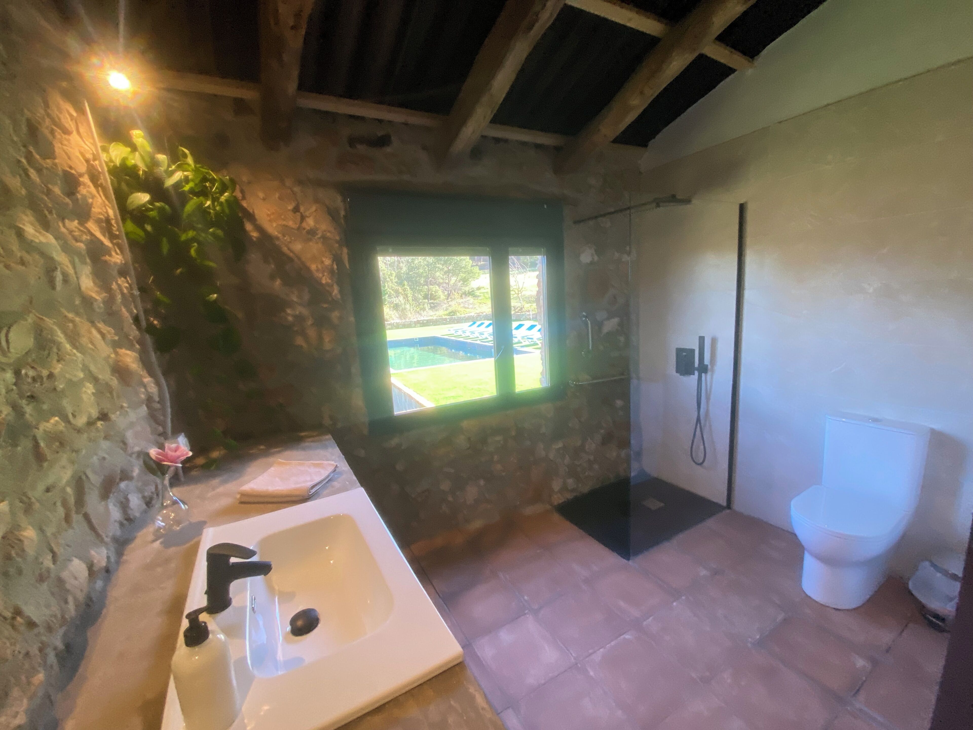 Une salle de bain avec un mur en pierre, un grand lavabo, une douche et des toilettes.