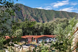 Immagine non classificata, 4 di 28, pulsante