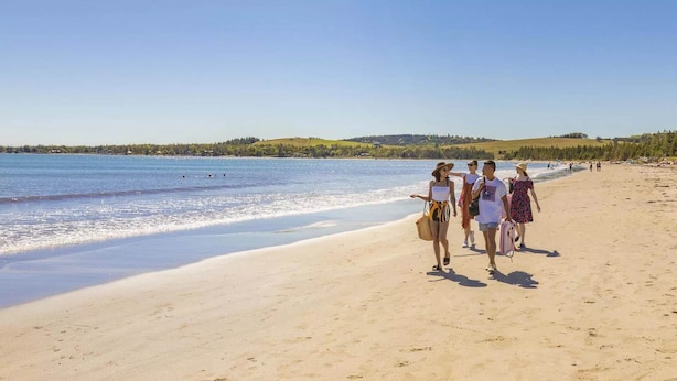 Une plage de sable où des gens se promènent le long du rivage.