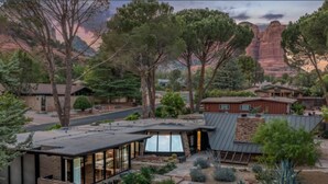 Une maison moderne dotée d’un toit plat, de grandes fenêtres et d’un jardin où poussent différentes espèces de plantes.