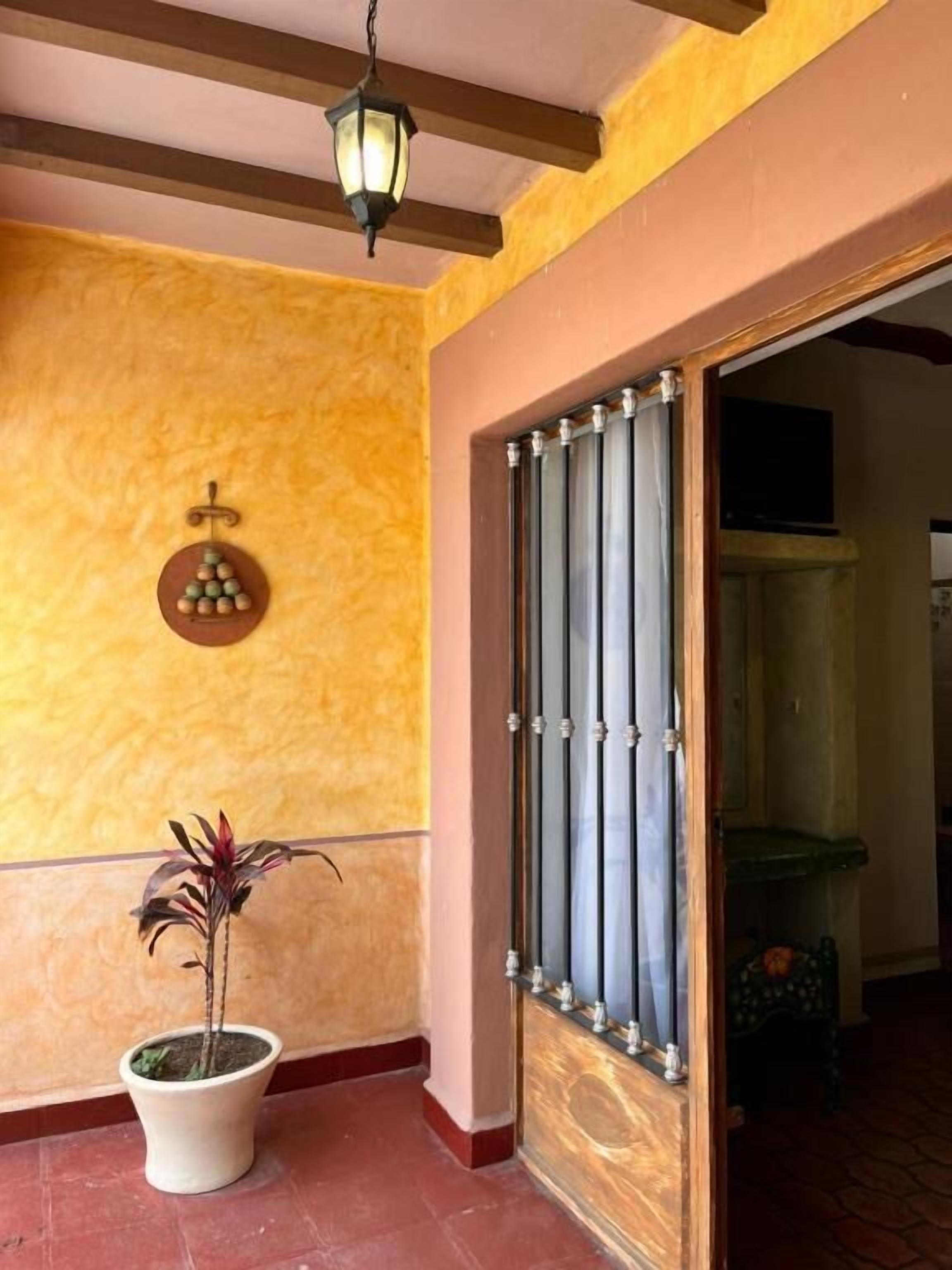 A hallway with a potted plant, a wall-mounted light fixture, and a door with a metal gate.