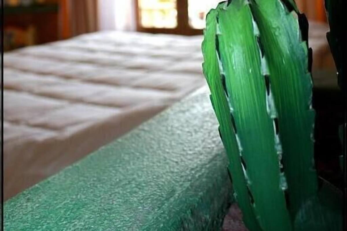 Une pièce avec un lit, une fenêtre avec des rideaux et une plante verte.