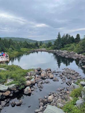 Nicht klassifiziertes Bild, 4 von 14, Schaltfläche