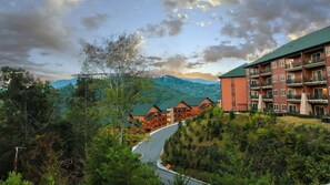 Unclassified image, 2 of 29, button