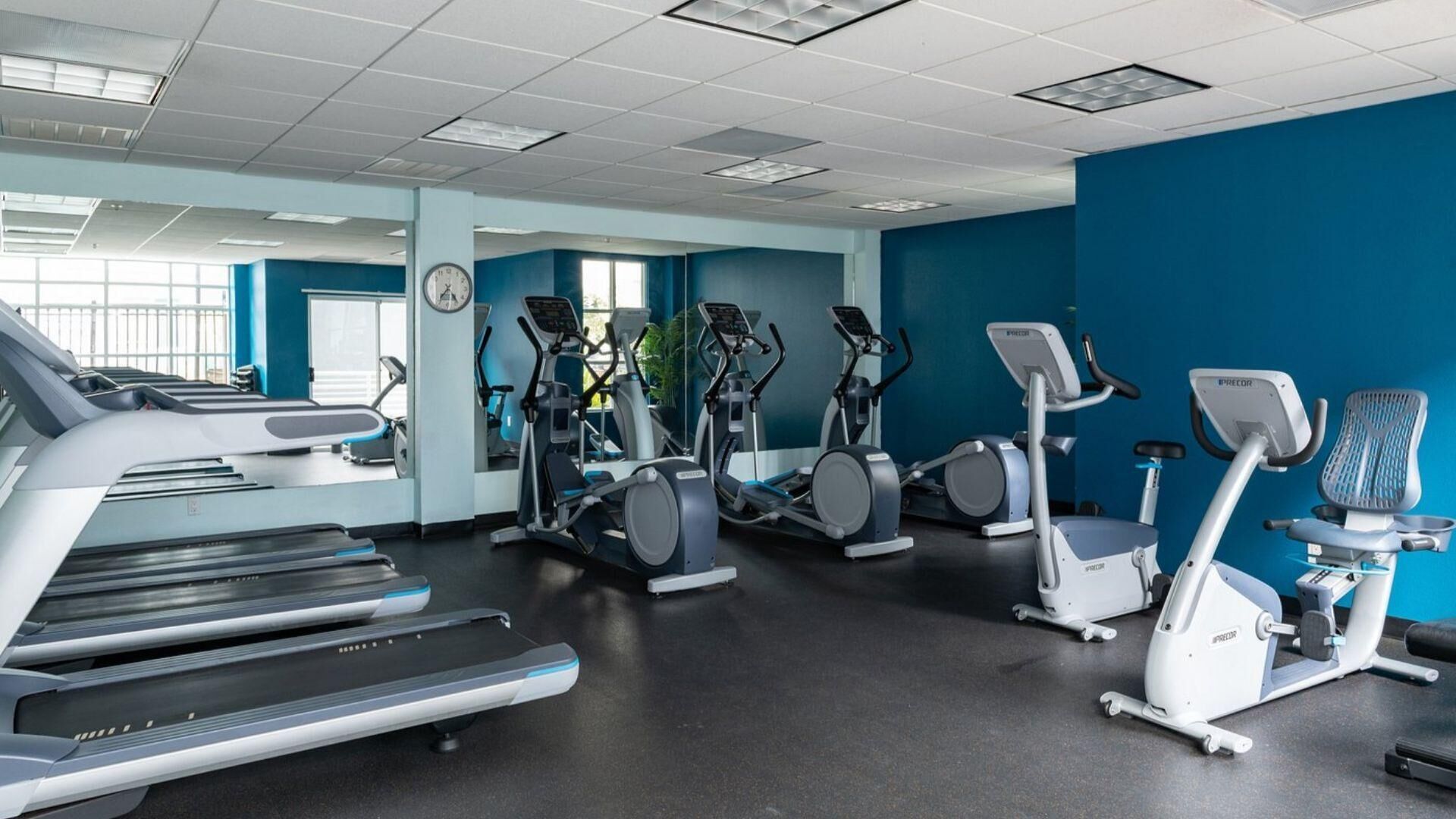 A gym with treadmills, elliptical machines, and stationary bikes.