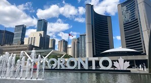 Unclassified image, 3 of 12, button