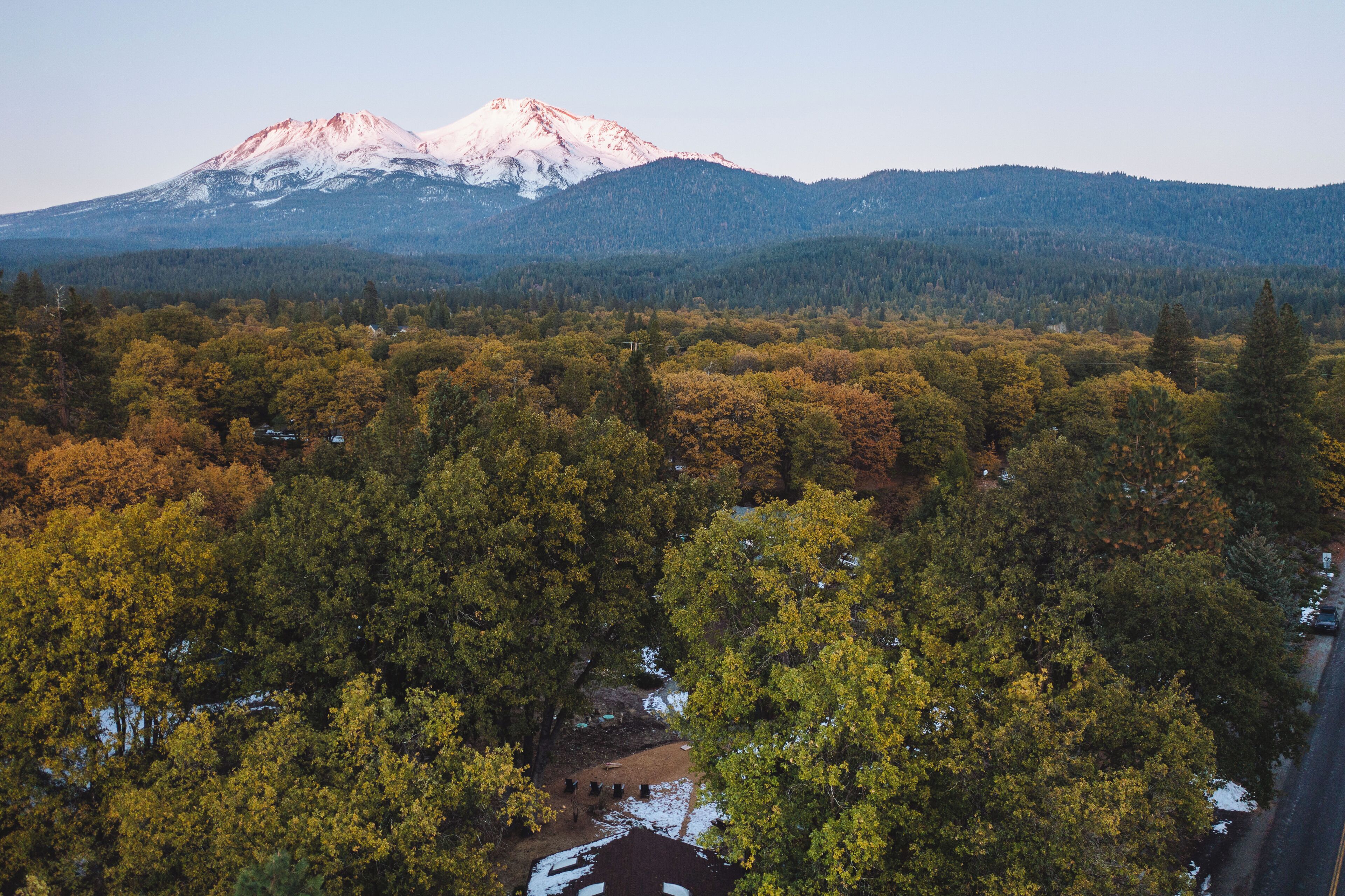 A mountainous landscape with a prominent snow-capped peak, dense forest, and a road with parked cars.