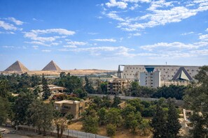 Niet-geclassificeerde afbeelding, 2 van 18, knop