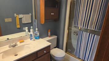 Secador de cabelo, toalhas de banho, sabonete, papel higiênico