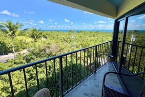 Property grounds - Sunset, Large, Top Floor OceanFront Views, Island Condo - Key Largo (Key Largo)