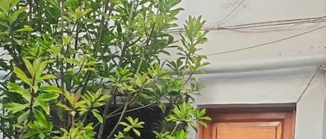 Bureau, accĂšs au Wi-Fi (inclus)