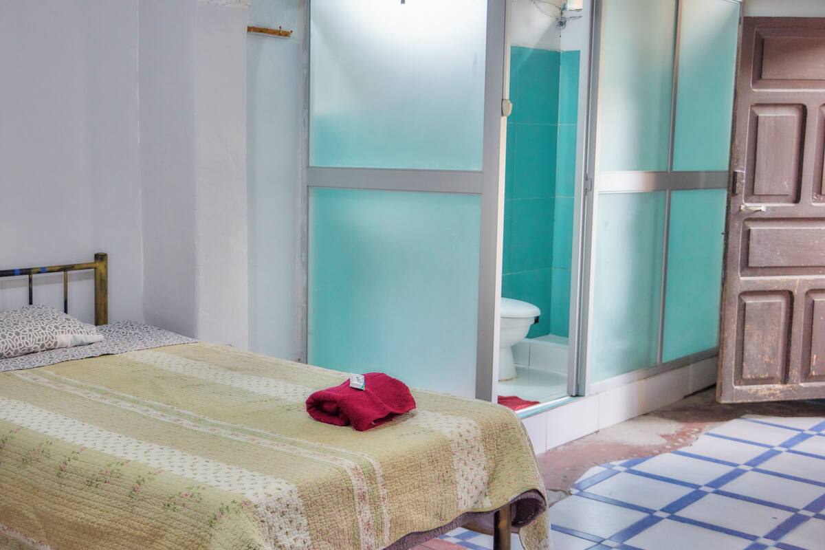 Una habitación con cama, un baño con inodoro y ducha, y una puerta de madera.