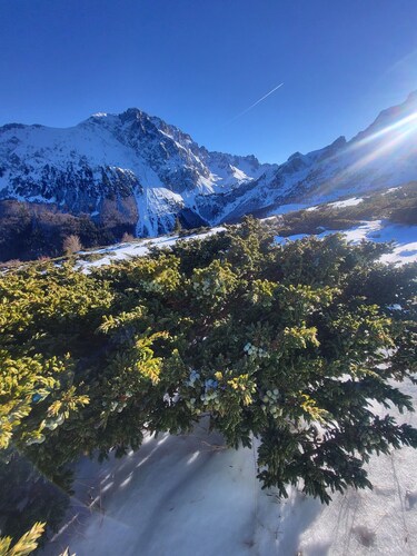 Peace Cottage Komovi Montenegro NaturePeace Fresh air