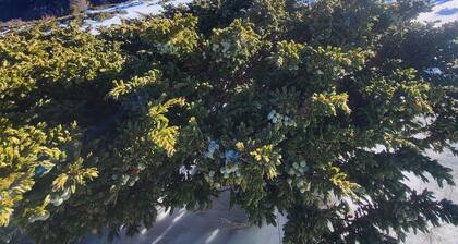 Peace Cottage Komovi Montenegro ïČNatureïČPeaceïČ Fresh air