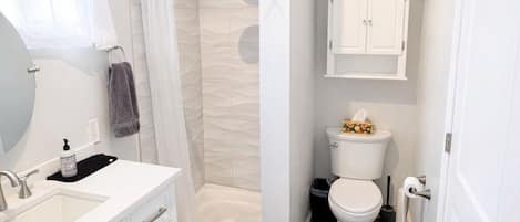 Hair dryer, towels, soap, toilet paper