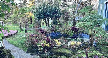 Nene Cottage on Pali'uli Estate by an active Volcano