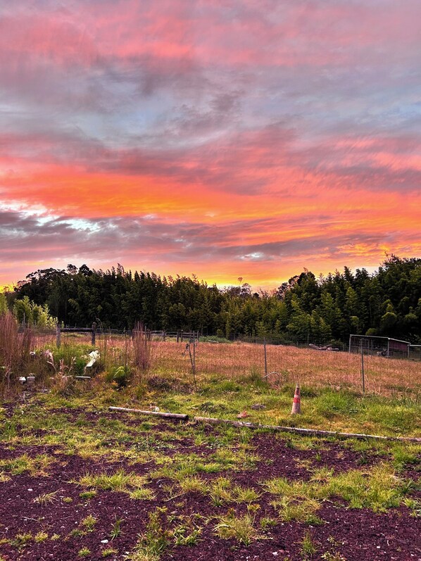 Nicht klassifiziertes Bild, 1 von 14, Schaltfläche