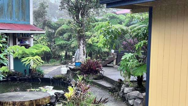 A garden with a pond, a tree, and a building with a red roof. - Nene Cottage on Pali'uli Estate by an active Volcano (Volcano)