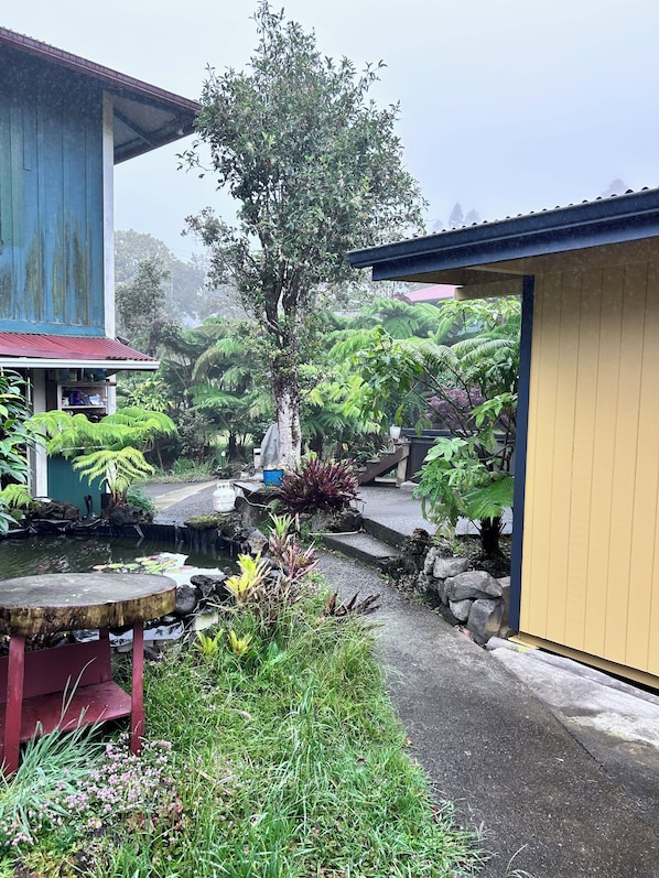 Property grounds - Nene Cottage on Pali'uli Estate by an active Volcano (Volcano)