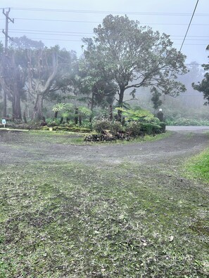 Nicht klassifiziertes Bild, 3 von 14, Schaltfläche