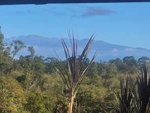 Uklassifisert bilde, 5 av 7, knapp