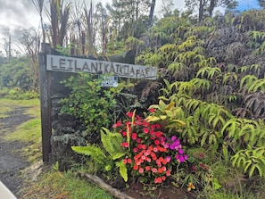 Uklassifisert bilde, 3 av 7, knapp