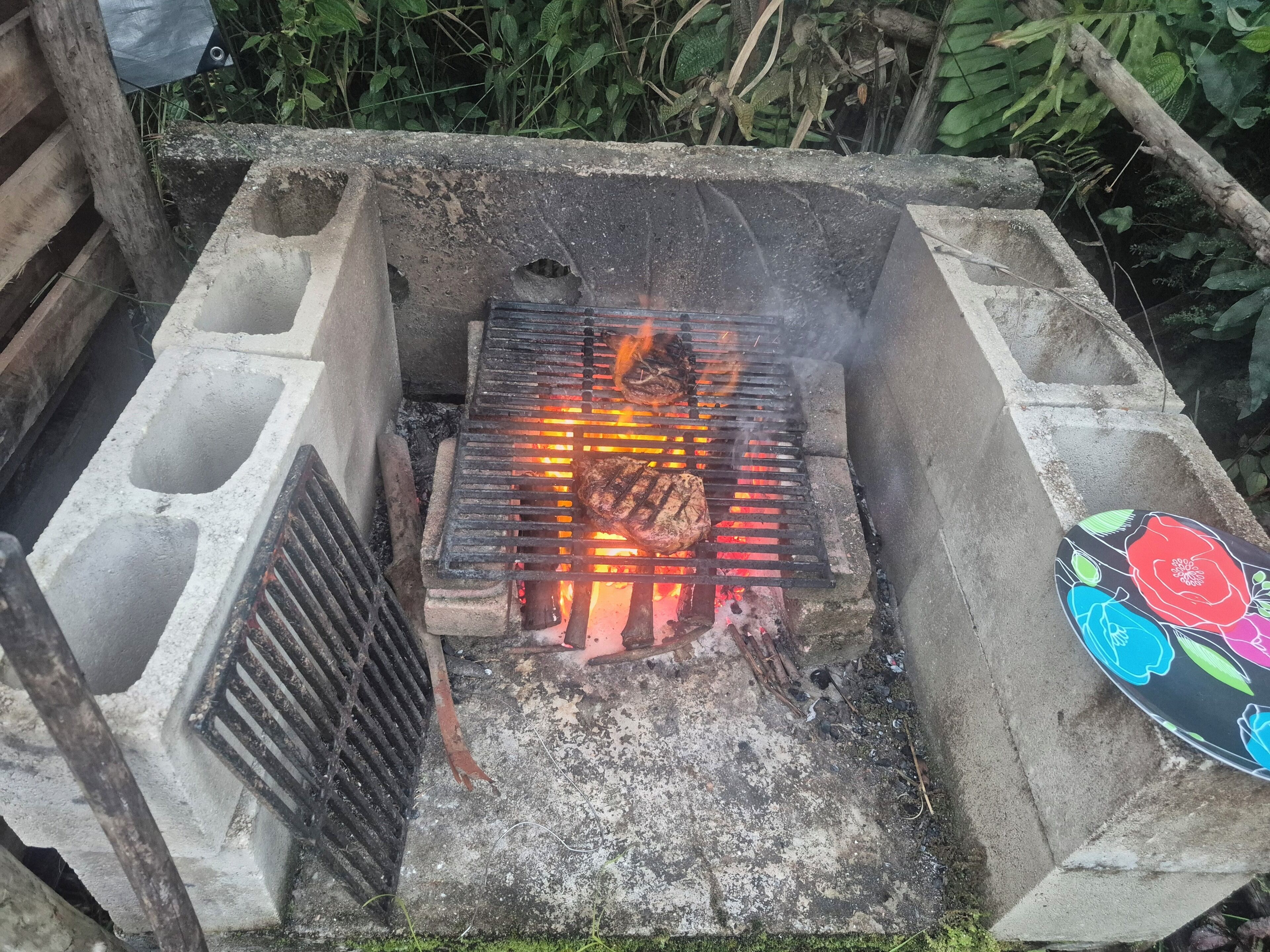 Una parrilla de concreto al aire libre con rejilla metálica, rodeada de follaje.