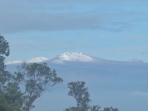 Oklassificerad bild, 4 av 5, knapp