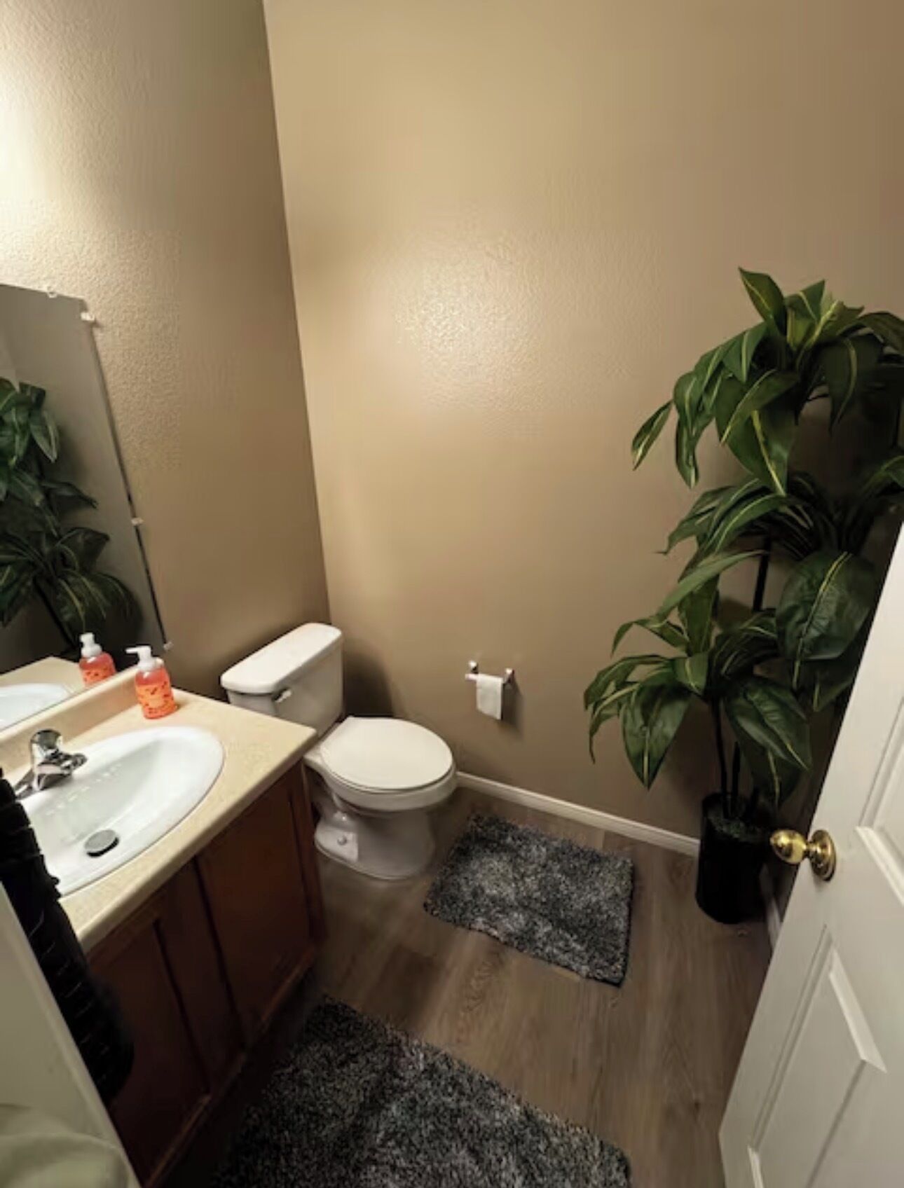 Hair dryer, towels, toilet paper