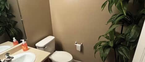 Hair dryer, towels, toilet paper