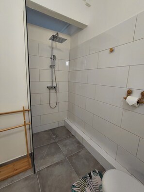 Hair dryer, towels, toilet paper