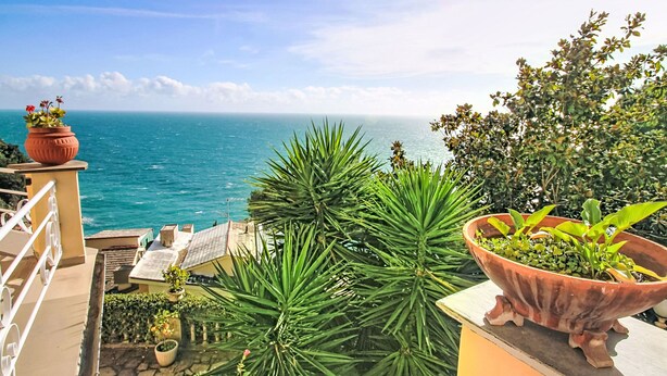 A terrace with potted plants, a view of the sea, and a clear sky. - Laccadiva by Interhome (Zoagli)