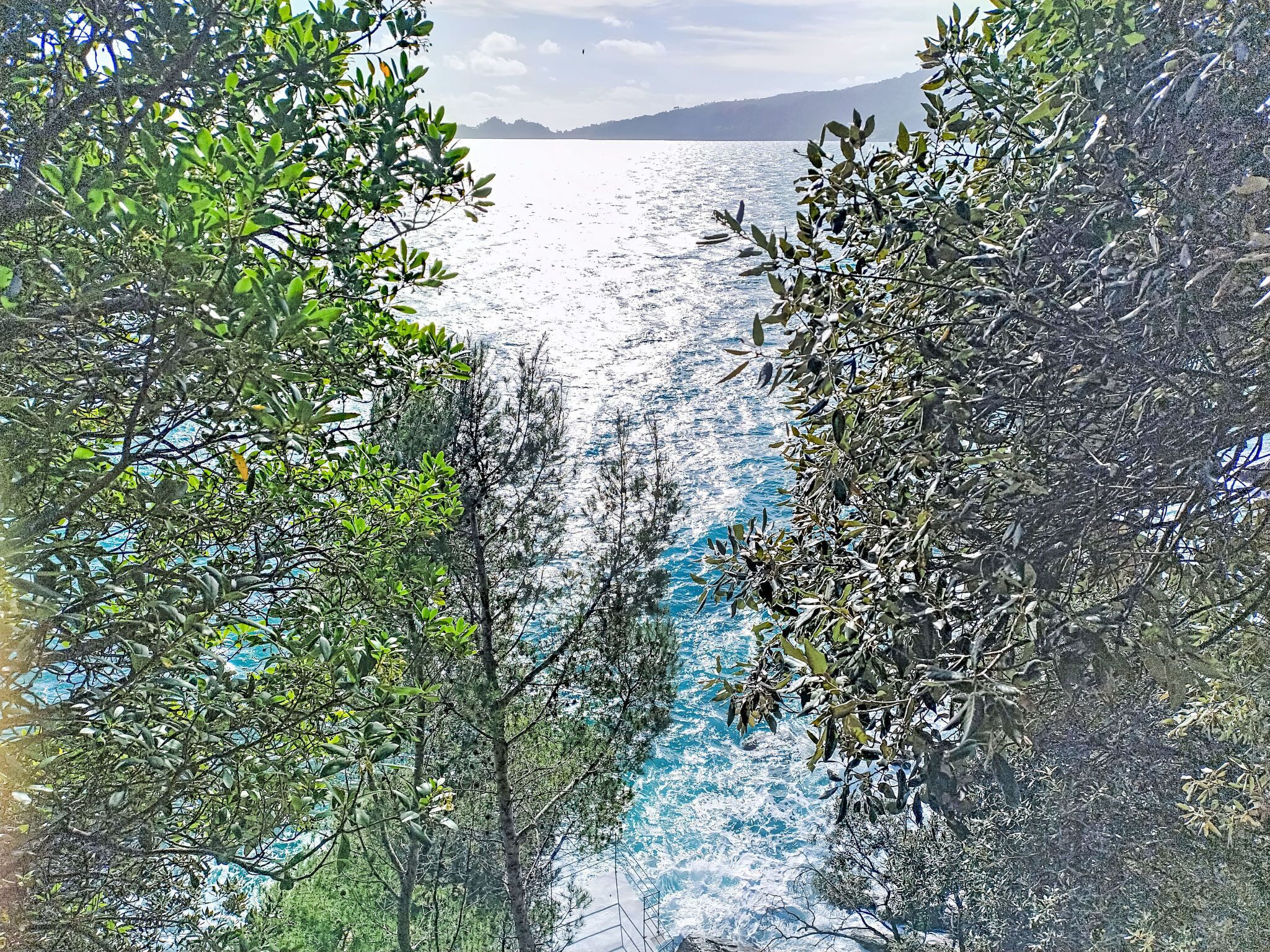 Une vue sur la côte, avec un feuillage dense encadrant la mer.