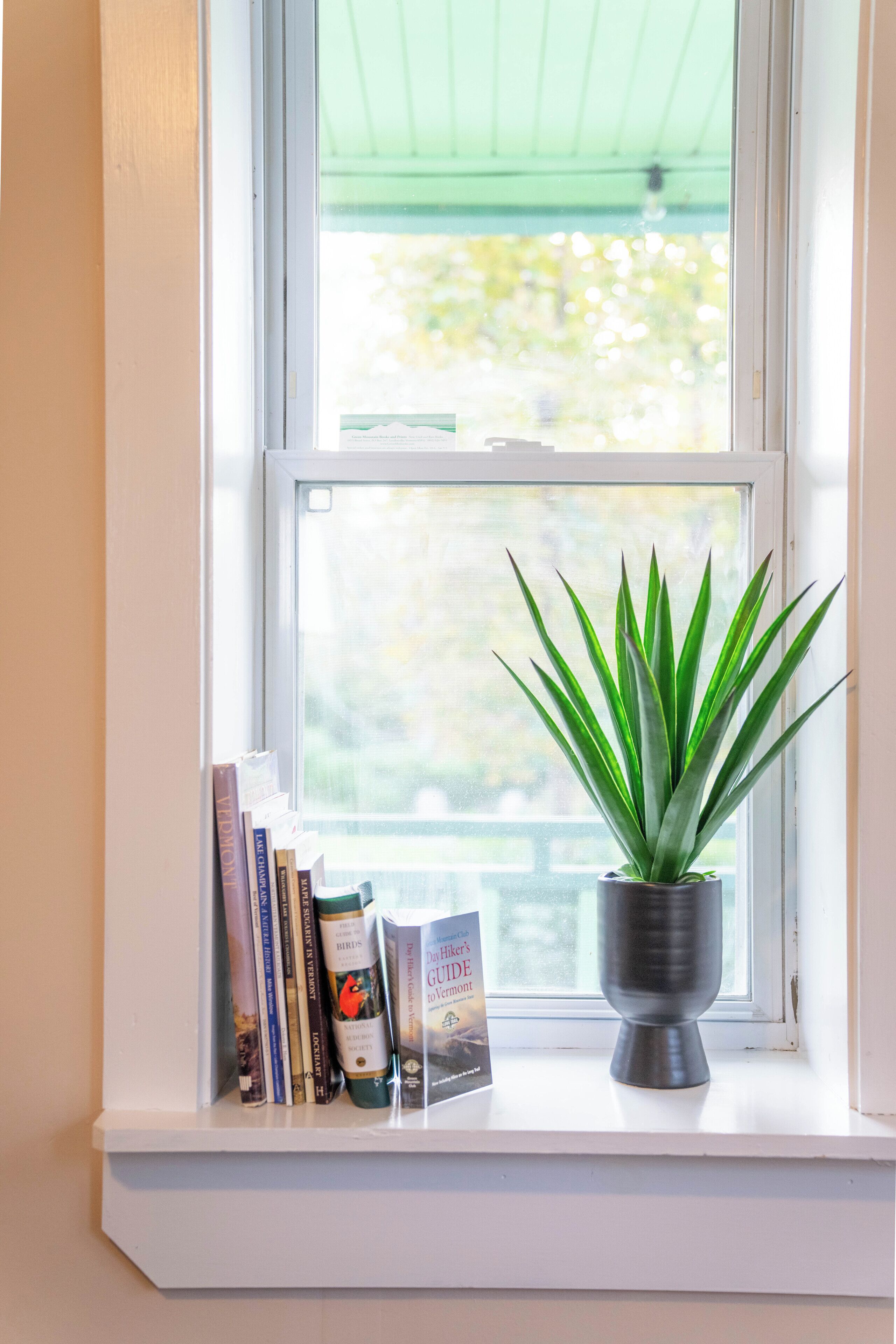 A window sill with a potted plant and a row of books.