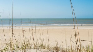 Een strand met duinen en schaarse begroeiing.