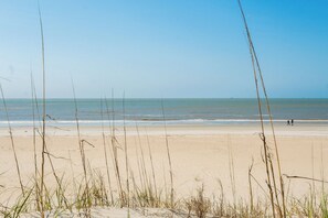 Beach nearby - Oceanfront, 2nd Row Bald Head Island (Bald Head Island)
