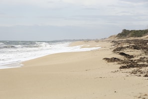 Une plage de sable avec des vagues, une côte lointaine et quelques plantes qui poussent sur une falaise.