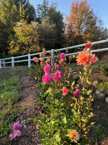 Northern Michigan Woodland Retreat - Cozy Comfort Near City Conveniences