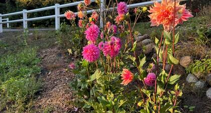 Northern Michigan Woodland Retreat - Cozy Comfort Near City Conveniences