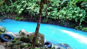 Une rivière aux eaux d’un bleu limpide, bordée d’une végétation luxuriante et de rochers.