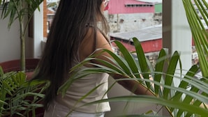 A person seated by a window with potted plants, overlooking a building with a red roof. - Hotel Yagua Iquitos (Belen)