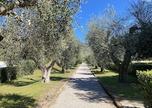 Miscellaneous - Sant'Anna del Volterraio - Piazzetta (Portoferraio)