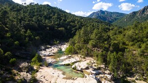 Paesaggio montuoso con un fiume che serpeggia attraverso una zona rocciosa, circondato da una fitta foresta.