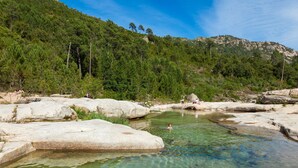 Una sorgente termale naturale circondata da massi imponenti e una fitta foresta.